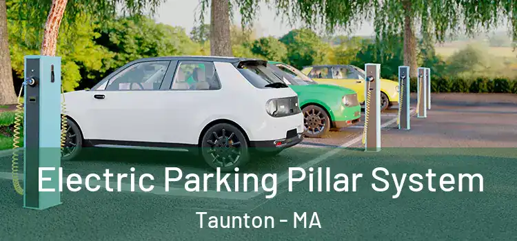 Electric Parking Pillar System Taunton - MA