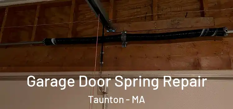  Garage Door Spring Repair Taunton - MA