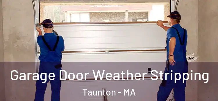  Garage Door Weather Stripping Taunton - MA