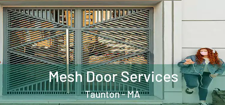 Mesh Door Services Taunton - MA